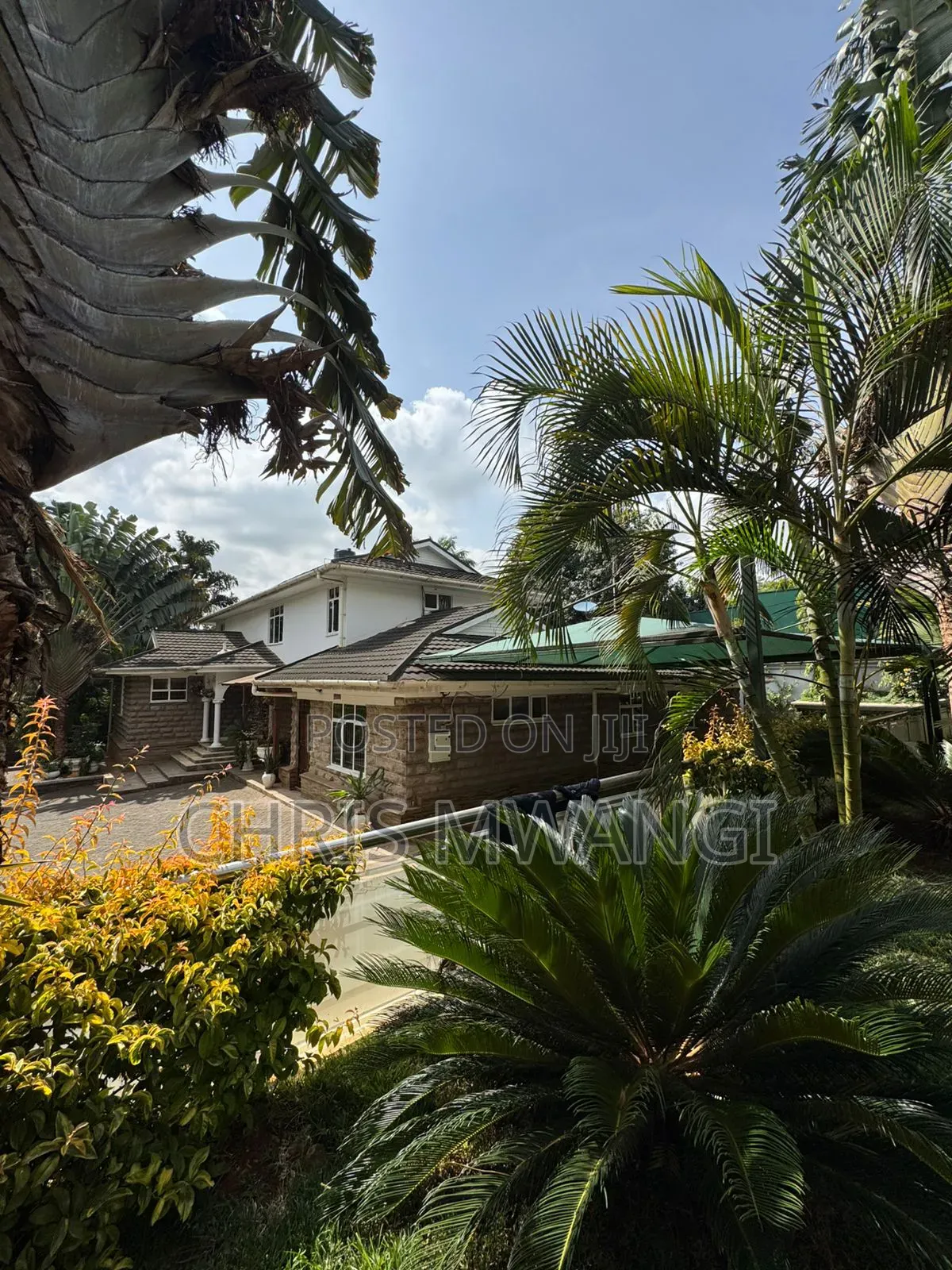 6bdrm Mansion in Runda Flame Tree for rent in Runda