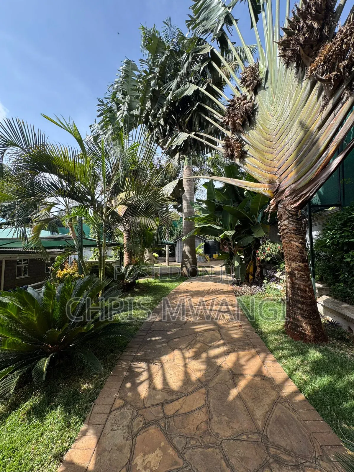 6bdrm Mansion in Runda Flame Tree for rent in Runda