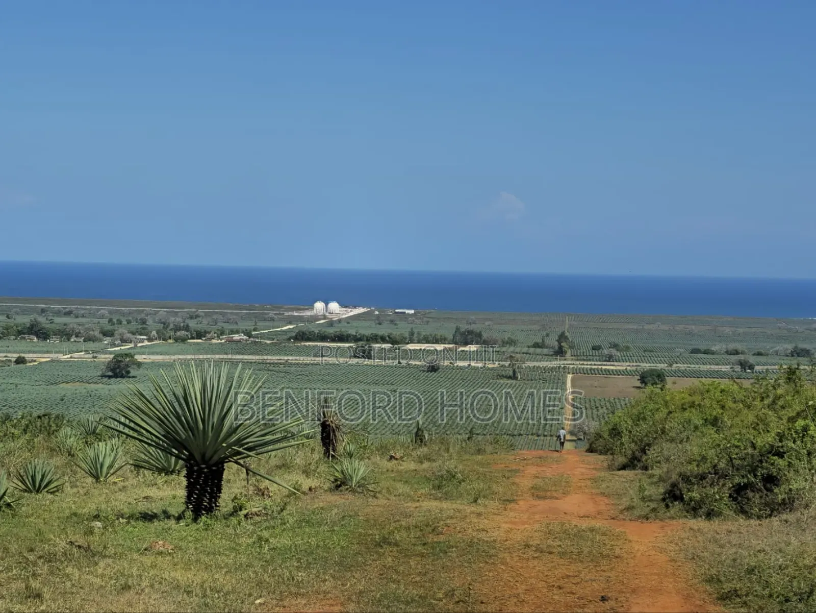 100 Acres on Sale Vipingo Area Ideal for Subdivisions in Vipingo
