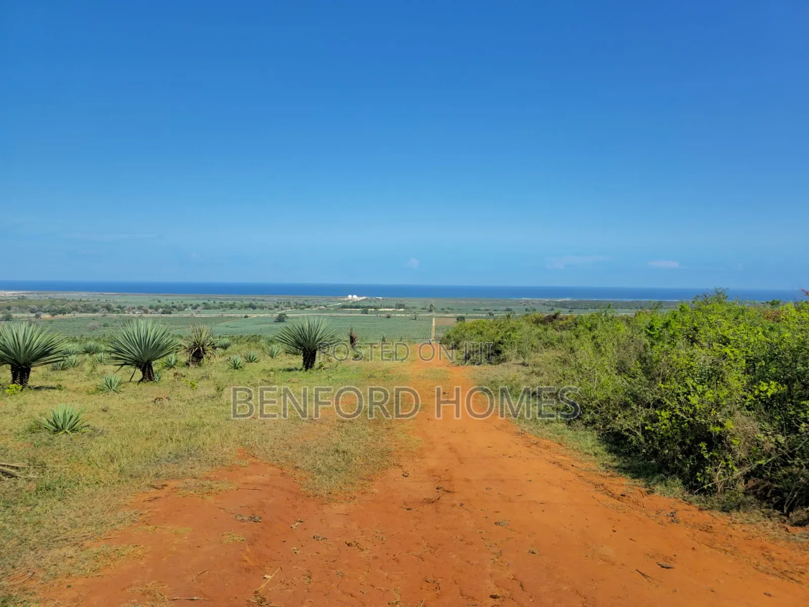 100 Acres on Sale Vipingo Area Ideal for Subdivisions in Vipingo