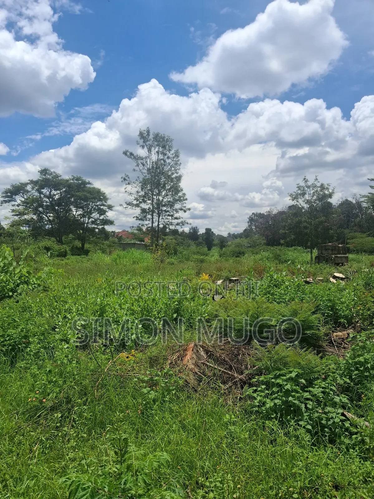 Garden Estate Prime 4.5 Acres Fronting the Main Tarmac Road in Ridgeways