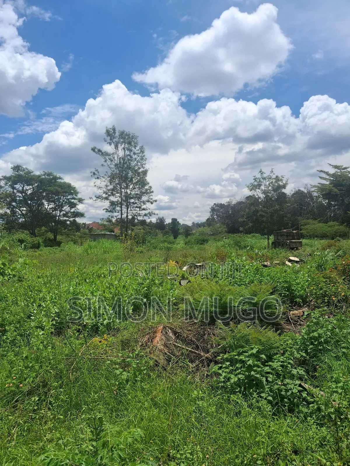 Garden Estate Prime 4.5 Acres Fronting the Main Tarmac Road in Ridgeways