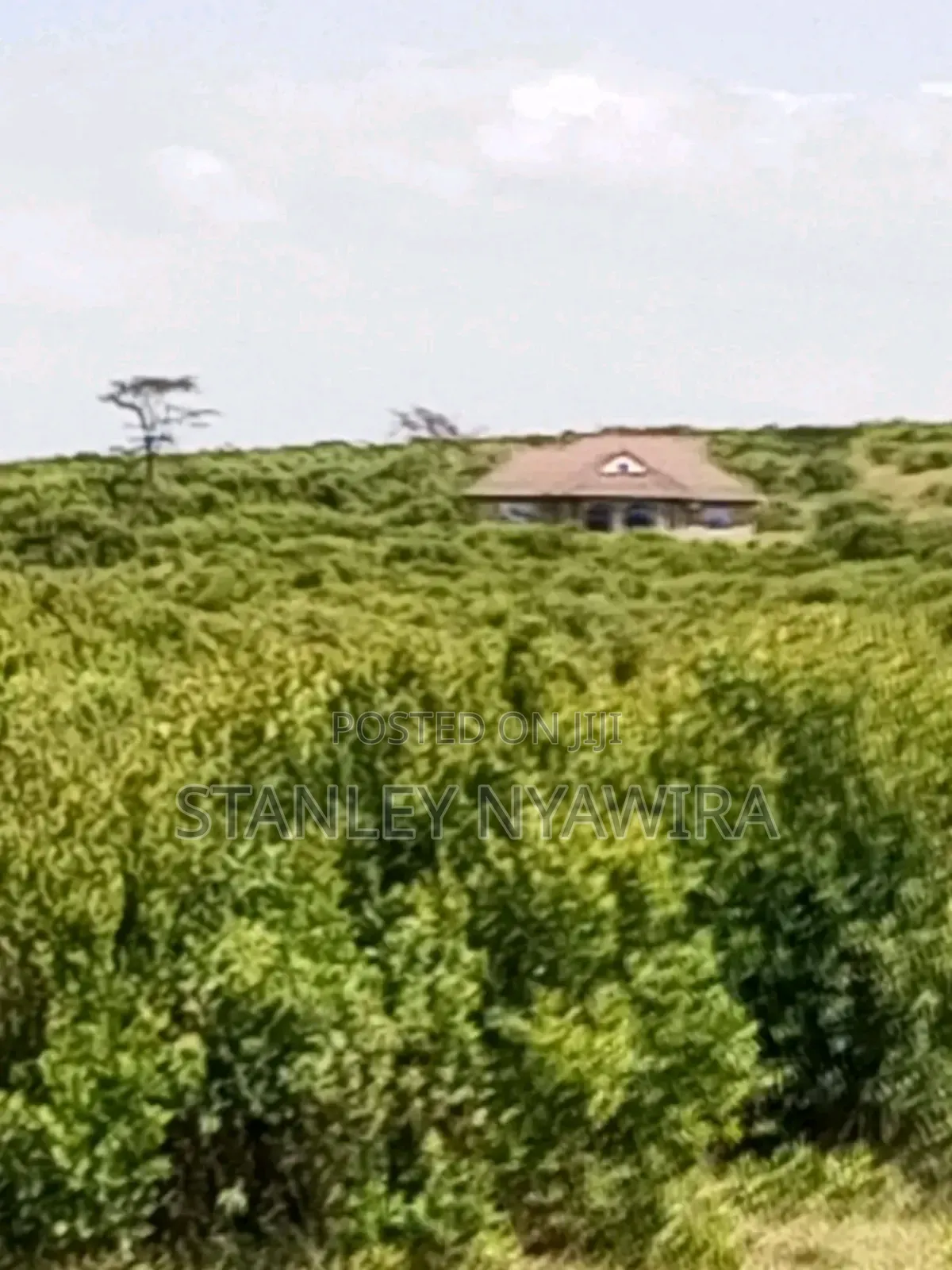 16 Acrea Nanyuki Nauritia Tarmac in Nanyuki