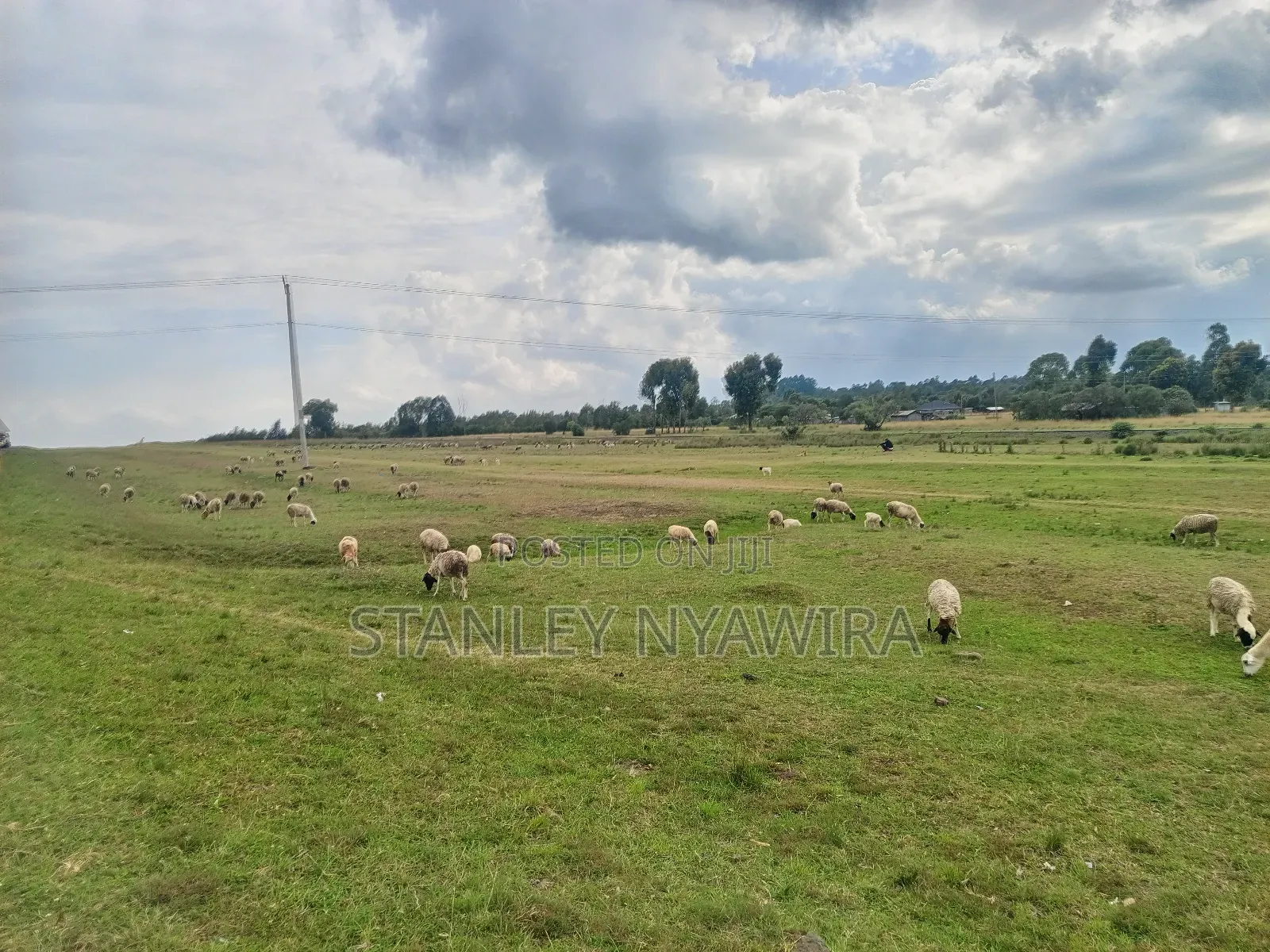 16 Acrea Nanyuki Nauritia Tarmac in Nanyuki