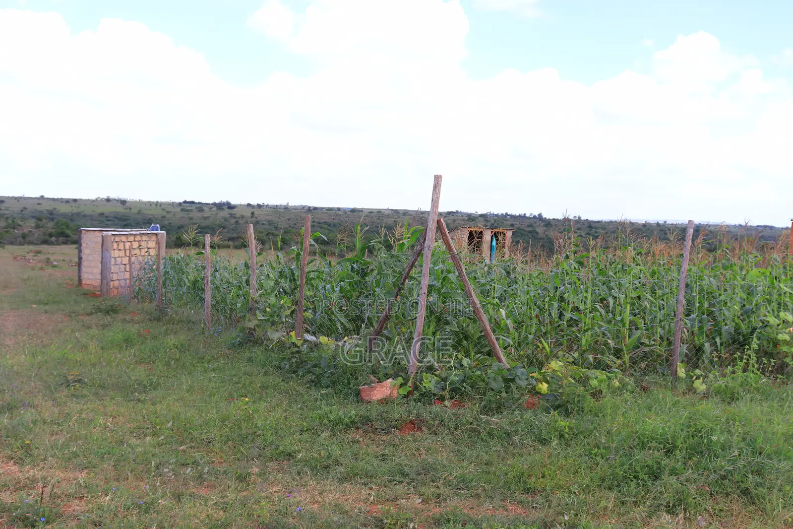 Vintage Garden – Off Kiserian-Isinya Highway in Kiserian