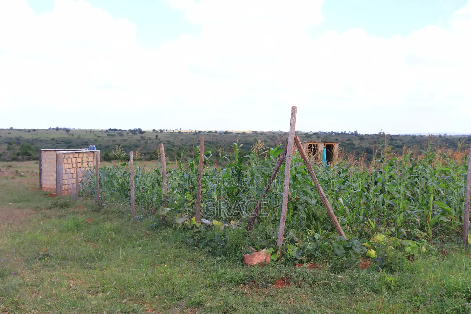 Vintage Garden – Off Kiserian-Isinya Highway in Kiserian