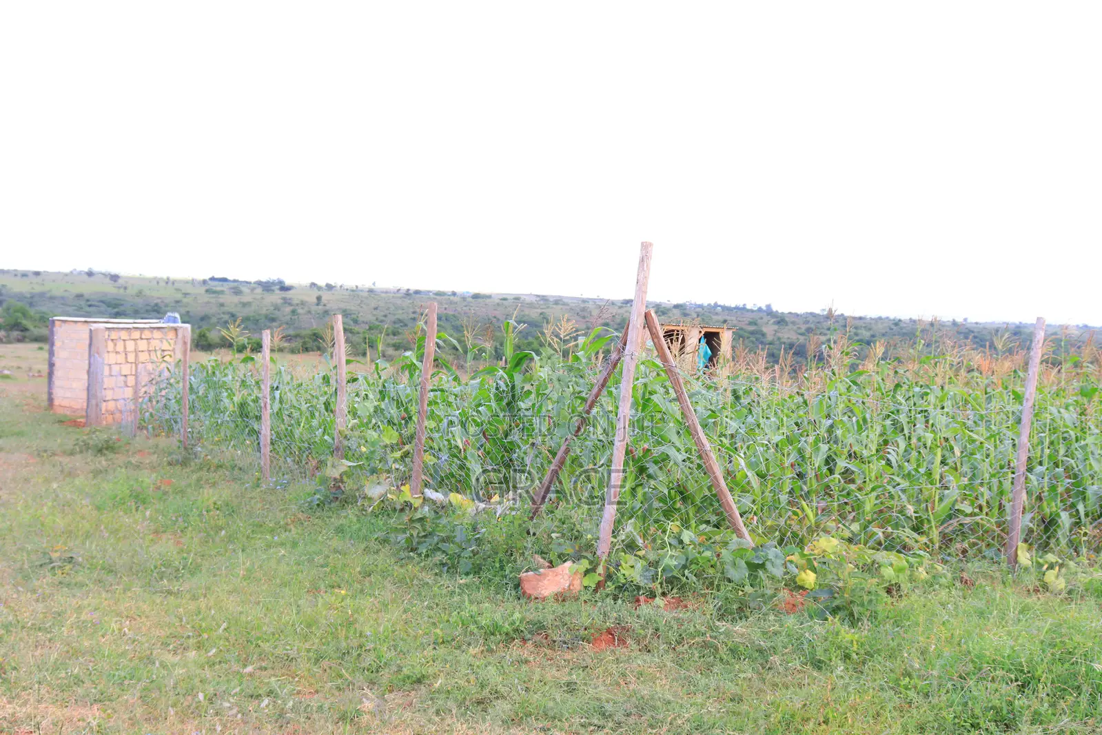 Vintage Garden – Off Kiserian-Isinya Highway in Kiserian