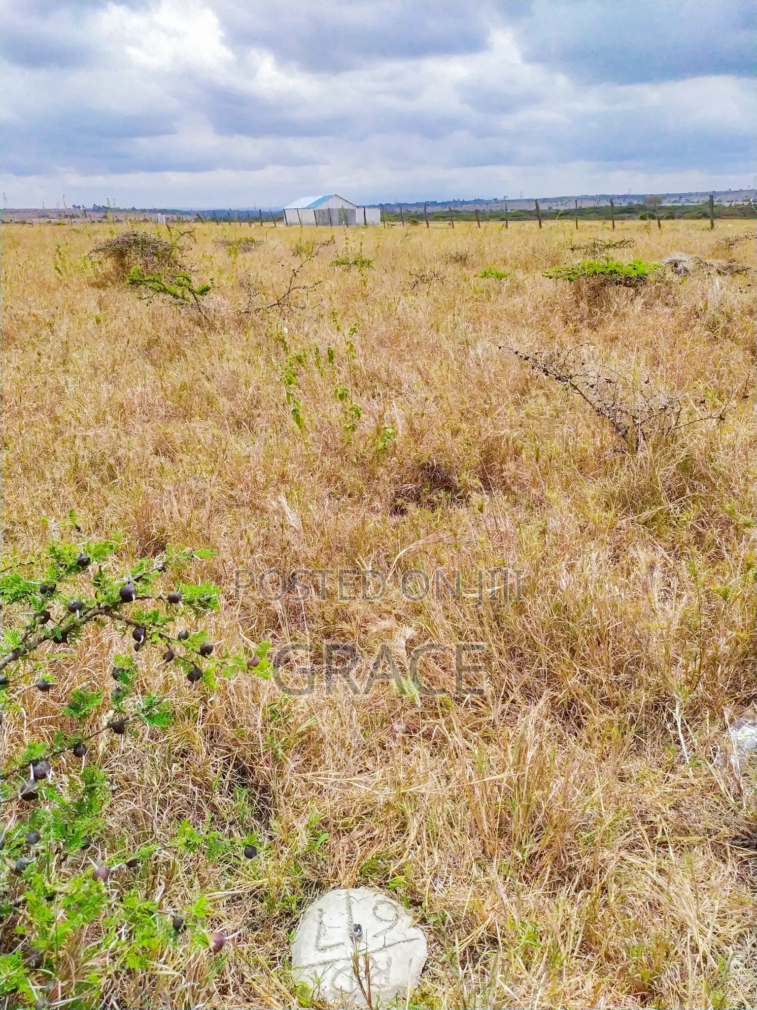 Mbuni Gardens – Kitengela in Kitengela