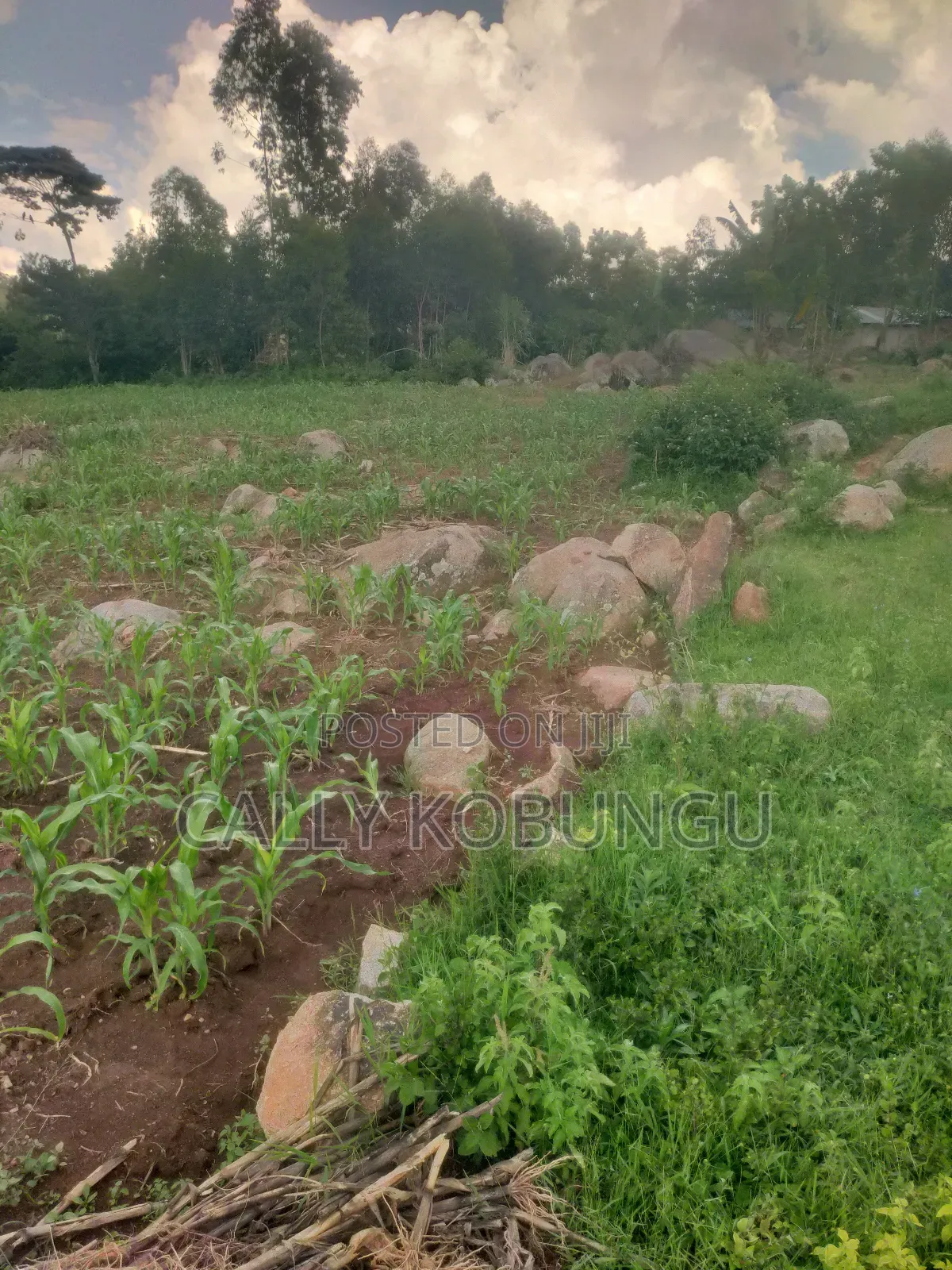 0.03ha Maseno, Nyawita in Maseno