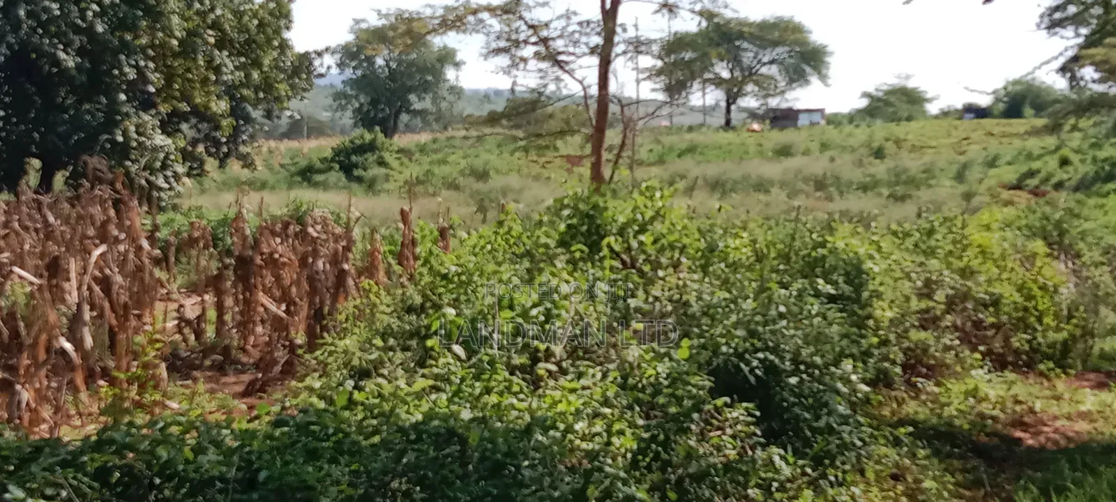 Land for Sale Near Makutano in Kambiti
