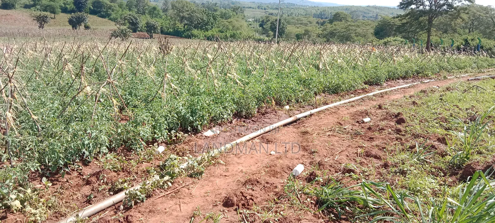Land for Sale Near Makutano in Kambiti