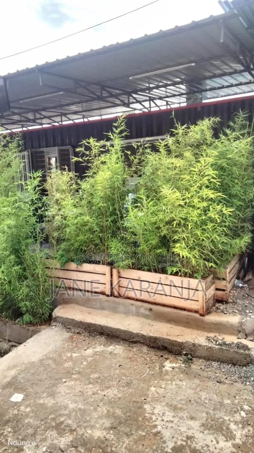 Hotel Quick Sale Buru Buru 2.5m in BuruBuru
