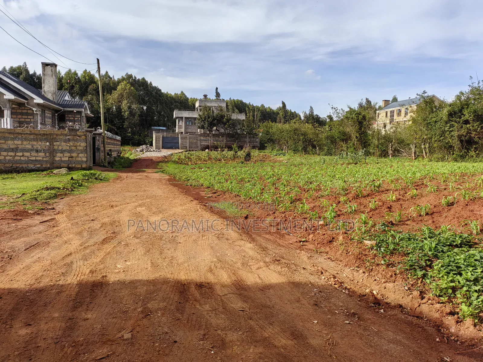 50 by 100 Plot for Sale in Gikambura Kikuyu Kiambu County. in Kikuyu