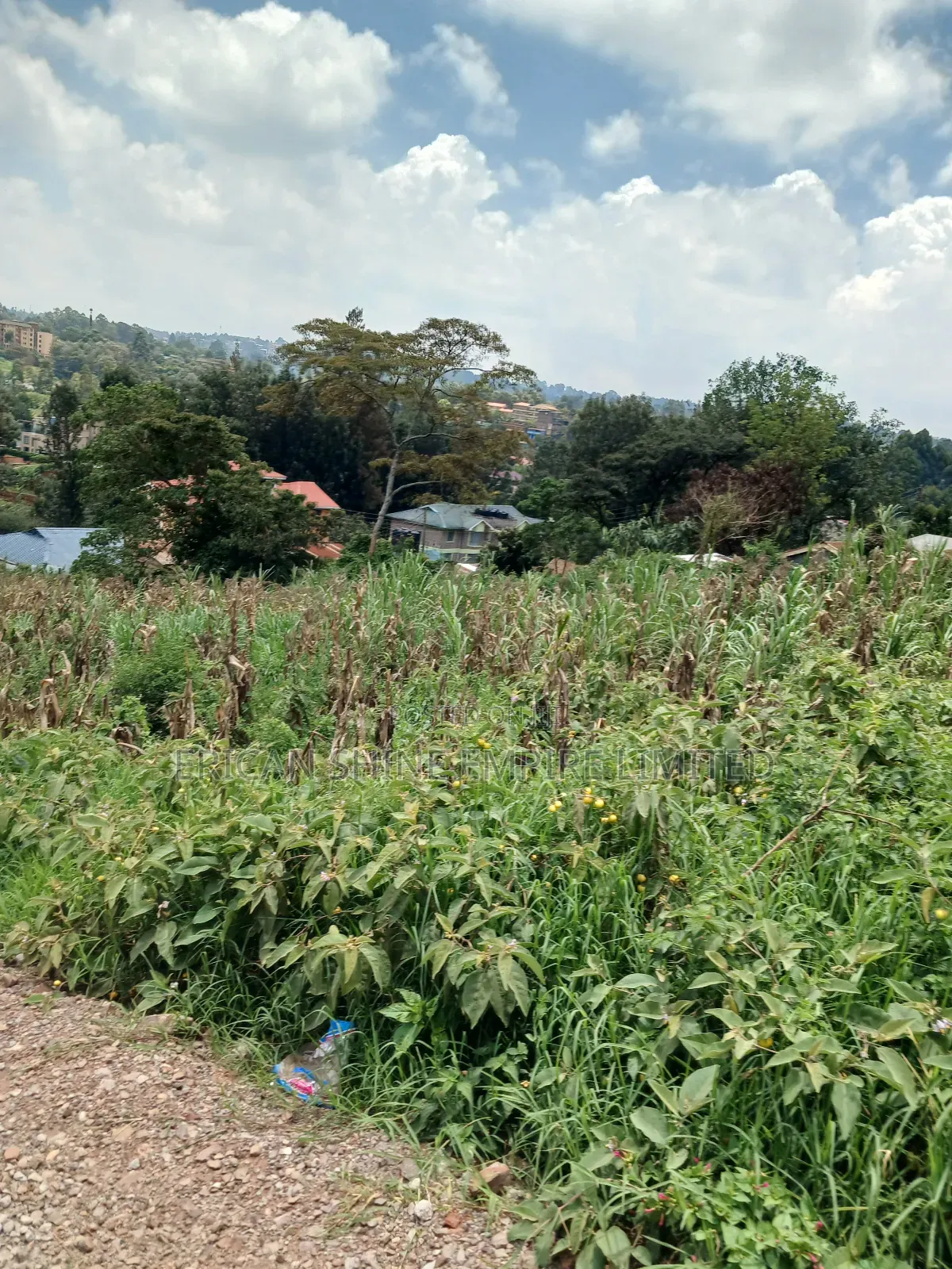 1/4 Prime Land for Sale in Uthiru in Uthiru