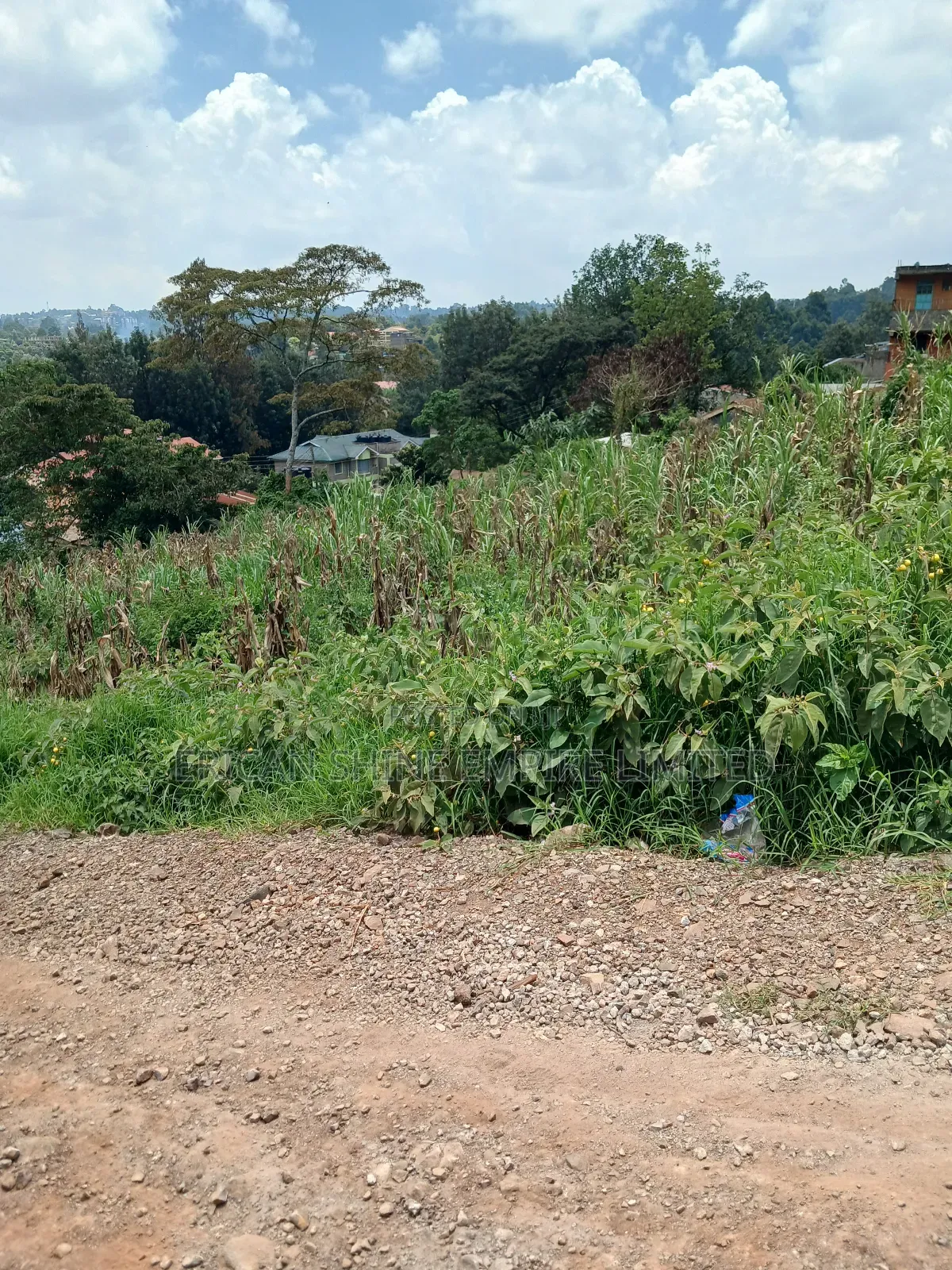 1/4 Prime Land for Sale in Uthiru in Uthiru