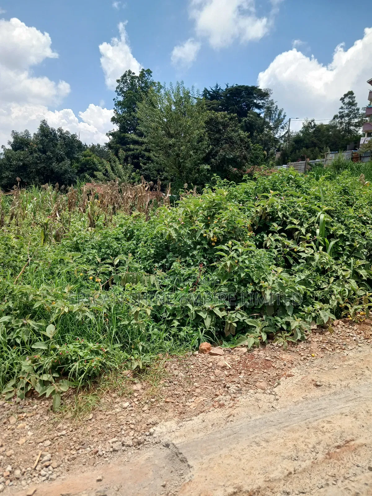 1/4 Prime Land for Sale in Uthiru in Uthiru