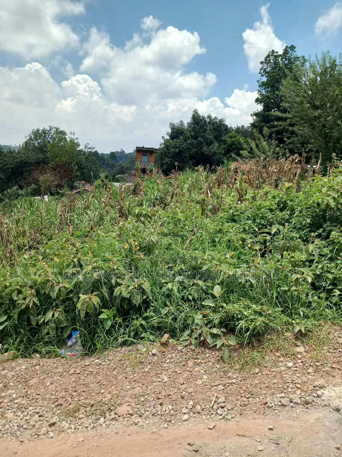 1/4 Prime Land for Sale in Uthiru in Uthiru