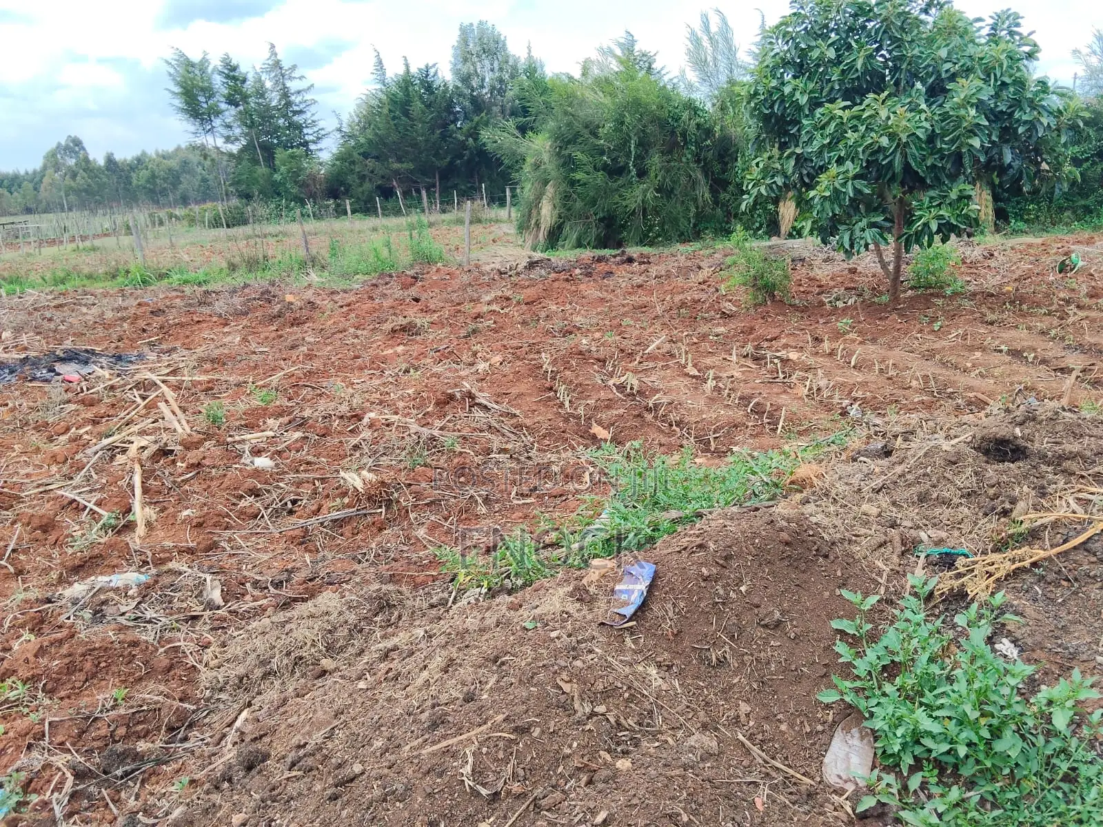 1⁄8acre Plot for Sale in Kipkorgot in Illula