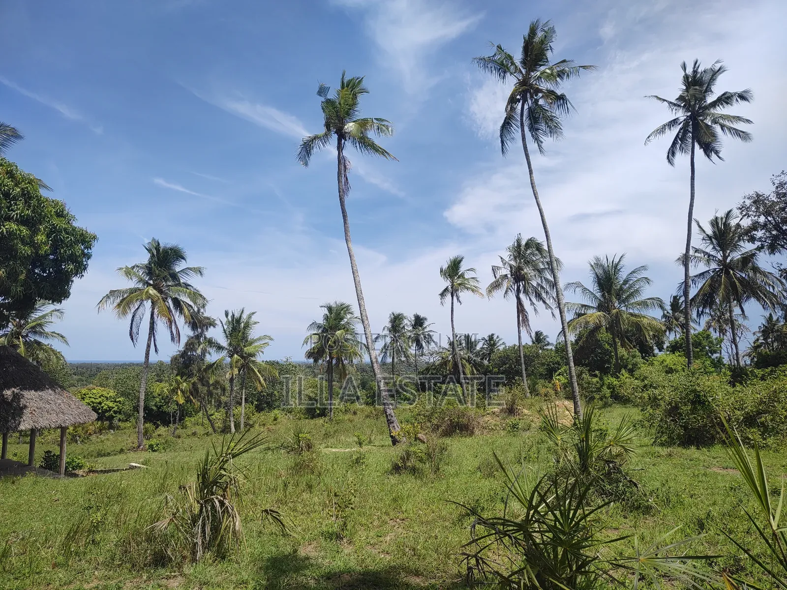 Uninterrupted Panoramic Ocean View Plot in Diani