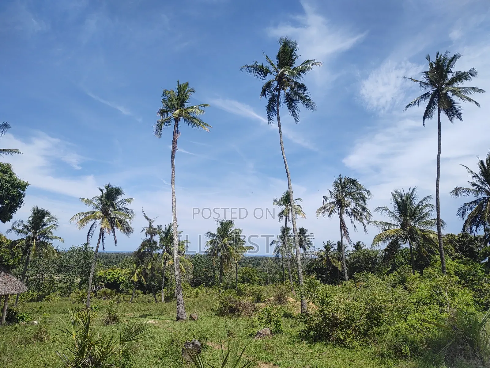Uninterrupted Panoramic Ocean View Plot in Diani