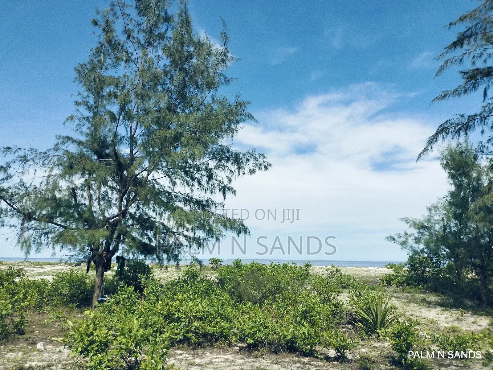 3.2 Acre Prime Beachfront Land on Sale!! At in Diani