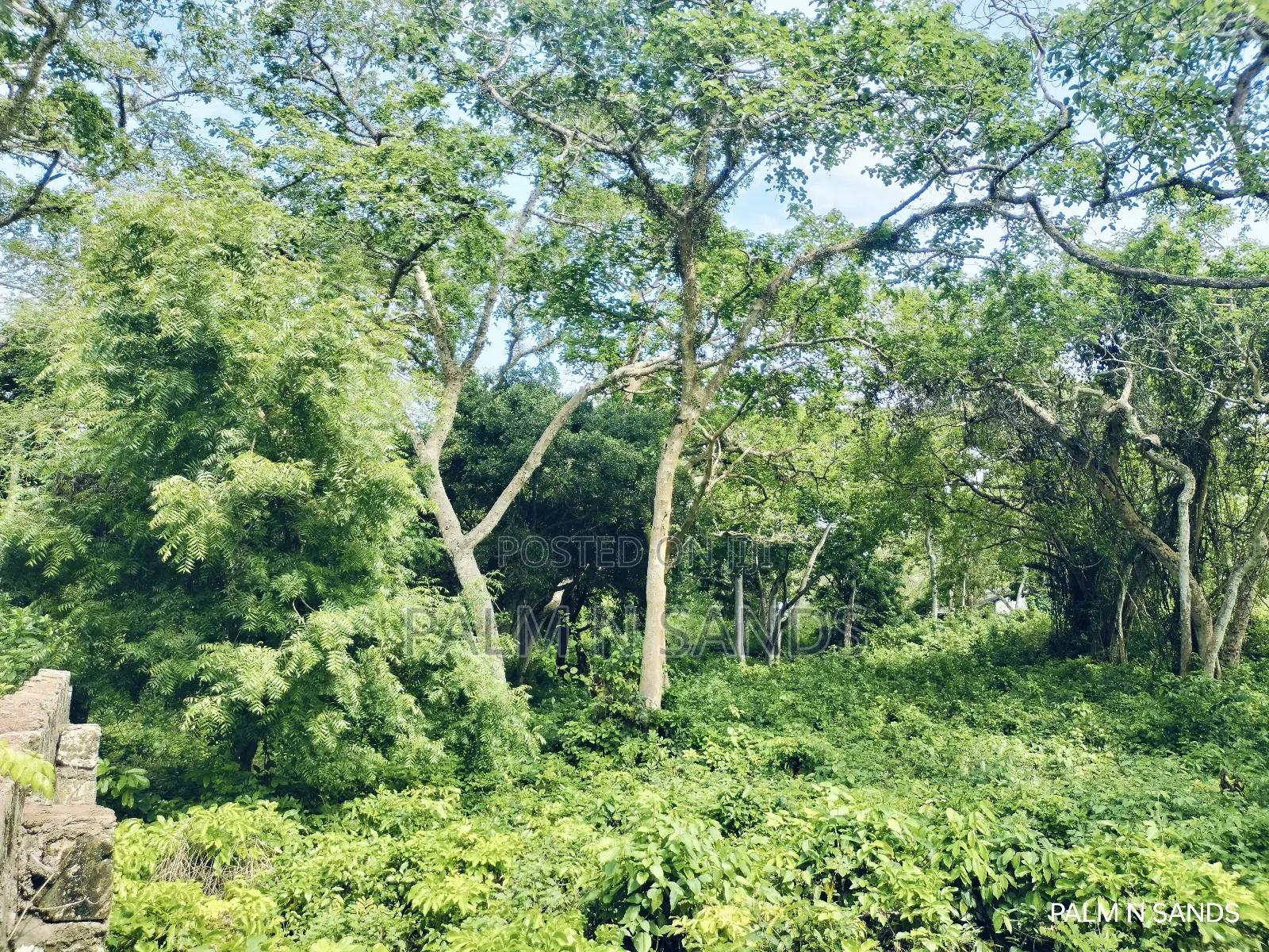 3.2 Acre Prime Beachfront Land on Sale!! At in Diani