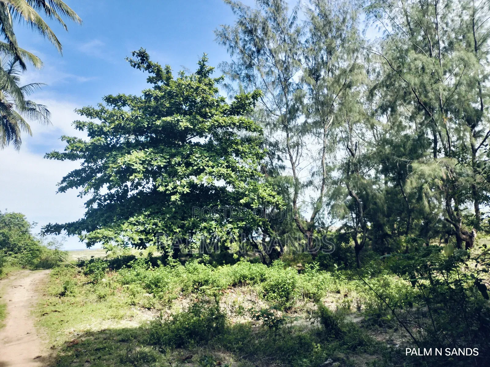 3.2 Acre Prime Beachfront Land on Sale!! At in Diani