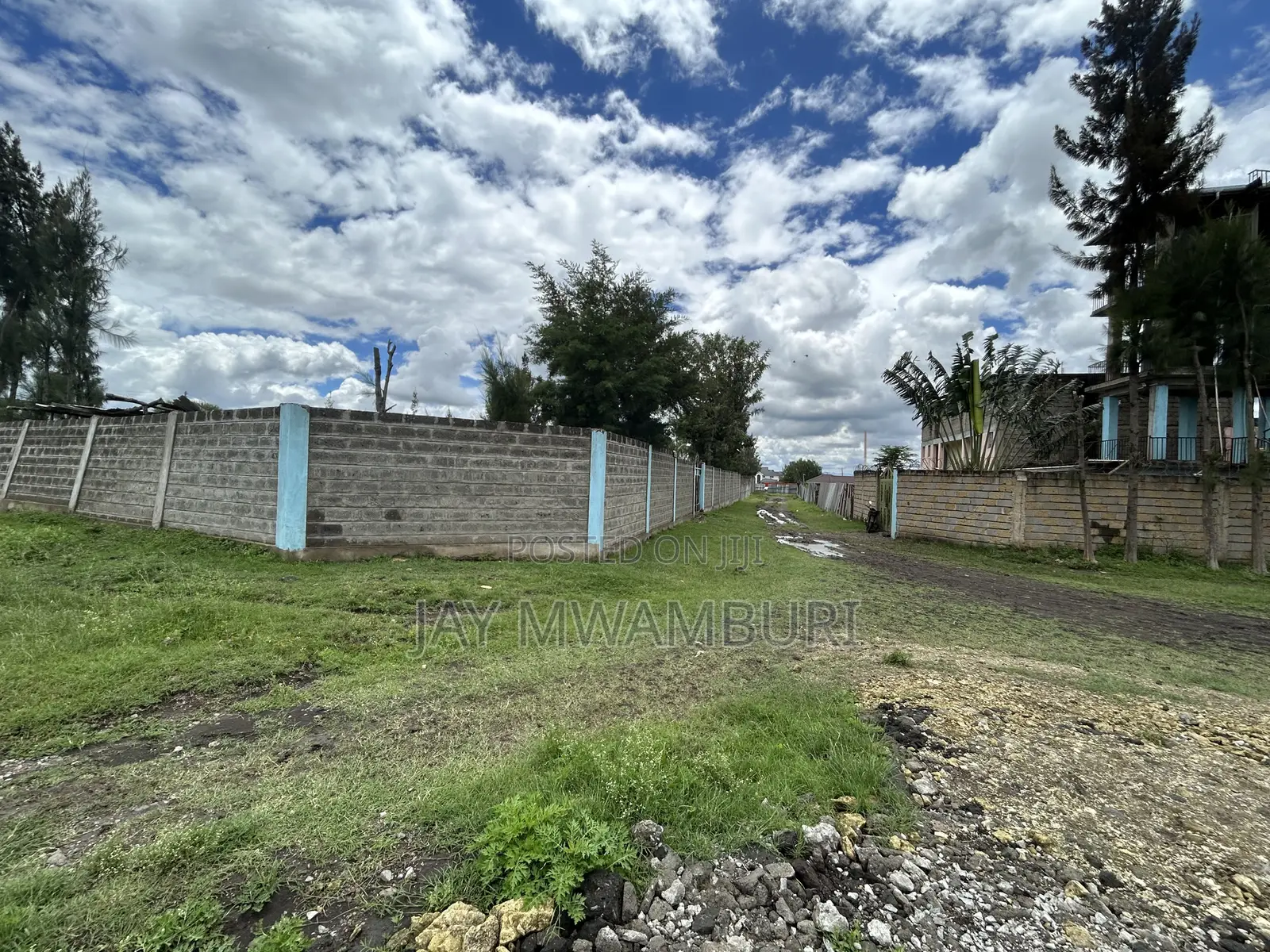 50 By100 Korompoi Kite in Kitengela