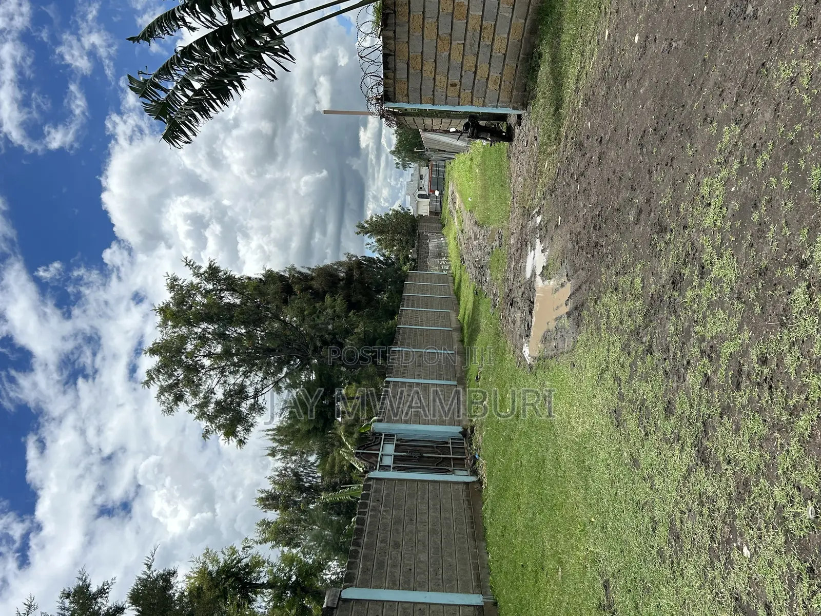 50 By100 Korompoi Kite in Kitengela