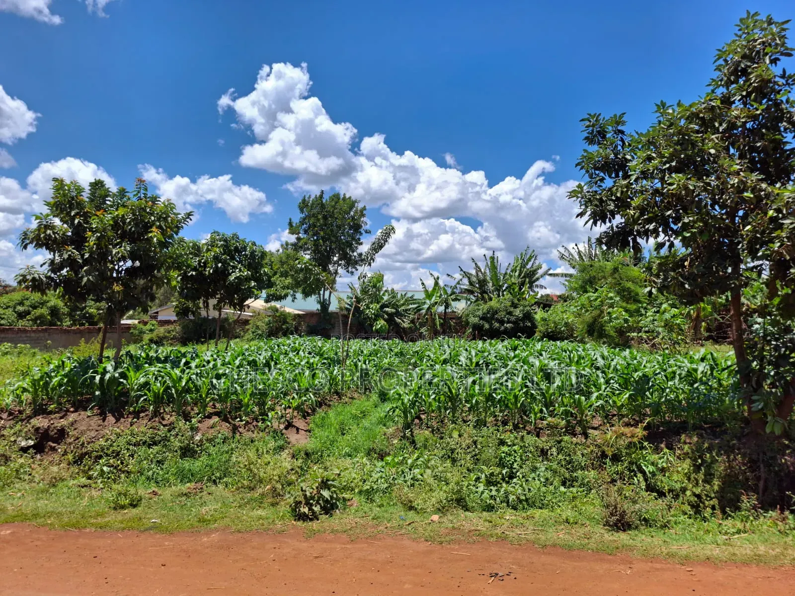 2 Commercial Plots for Sale in Mashambani Area Bungoma Town in Khalaba (Kanduyi)