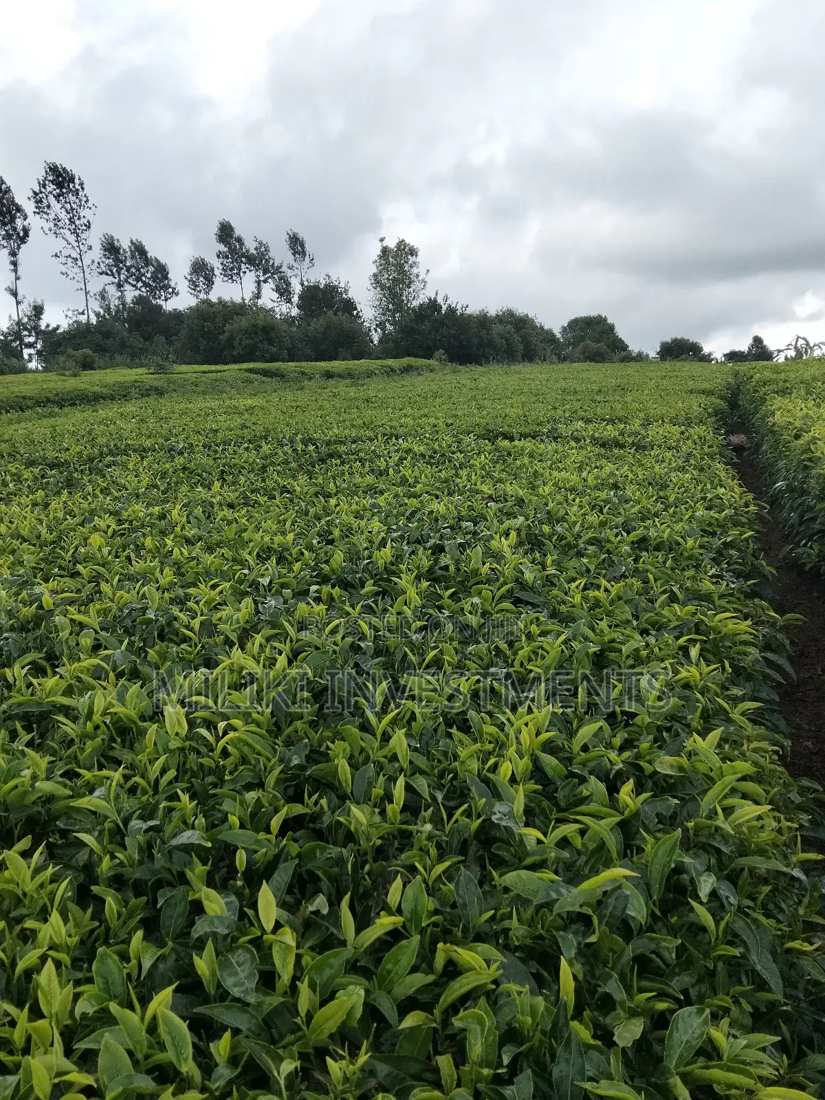 3 Acres of Land on Sale at Giturū -Kangari in Kangari