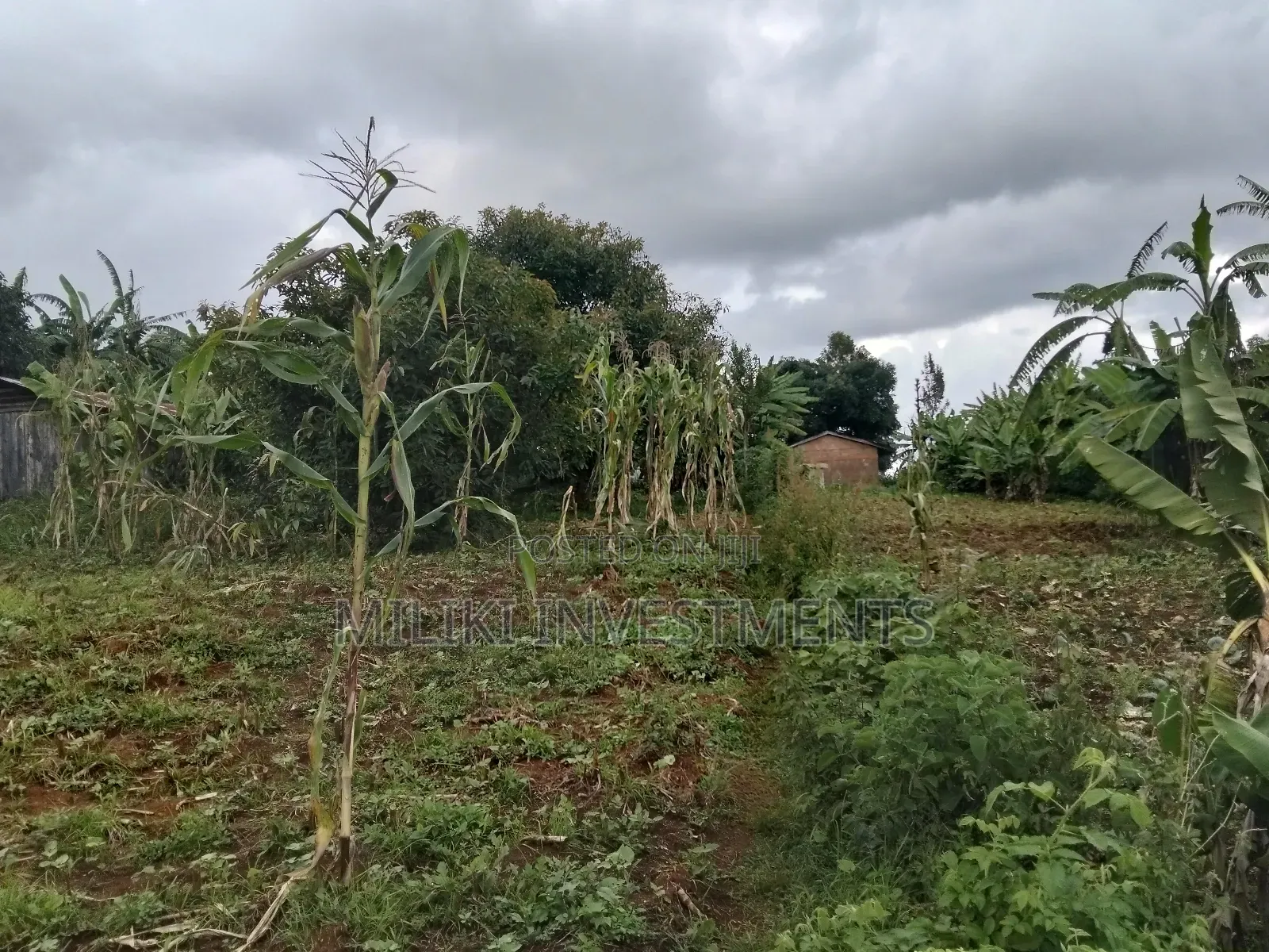 3 Acres of Land on Sale at Giturū -Kangari in Kangari