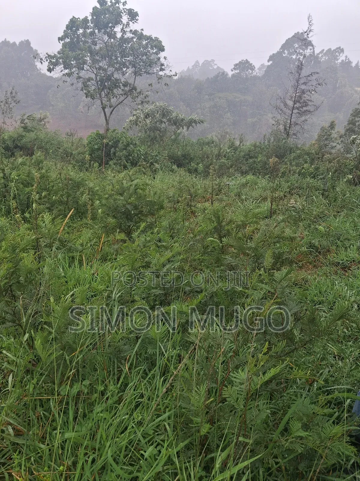 Redhill Prime 1.25 Ac Fronting Limuru Rd in Tigoni
