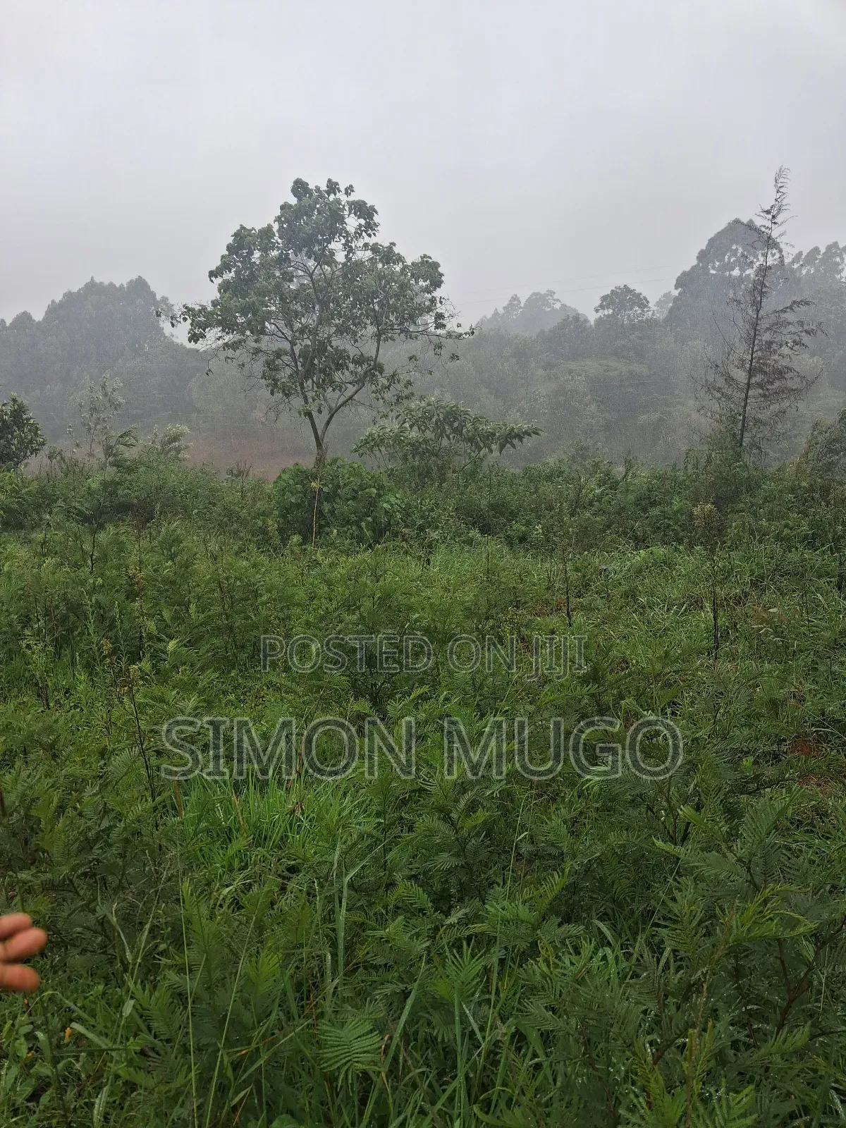 Redhill Prime 1.25 Ac Fronting Limuru Rd in Tigoni