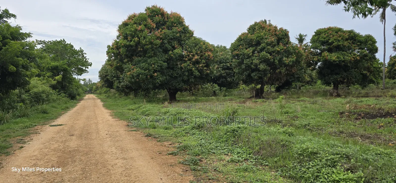 Prime 6-Acre Land for Sale - Kikambala in Kikambala