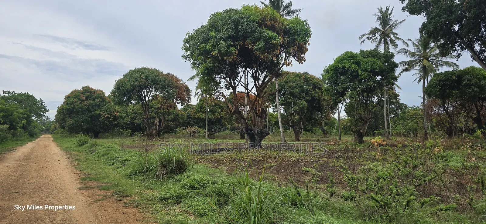 Prime 6-Acre Land for Sale - Kikambala in Kikambala