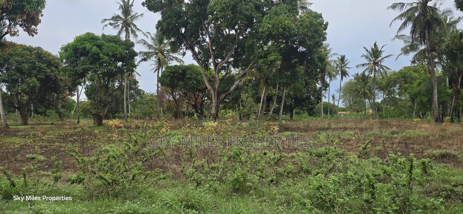 Prime 6-Acre Land for Sale - Kikambala in Kikambala