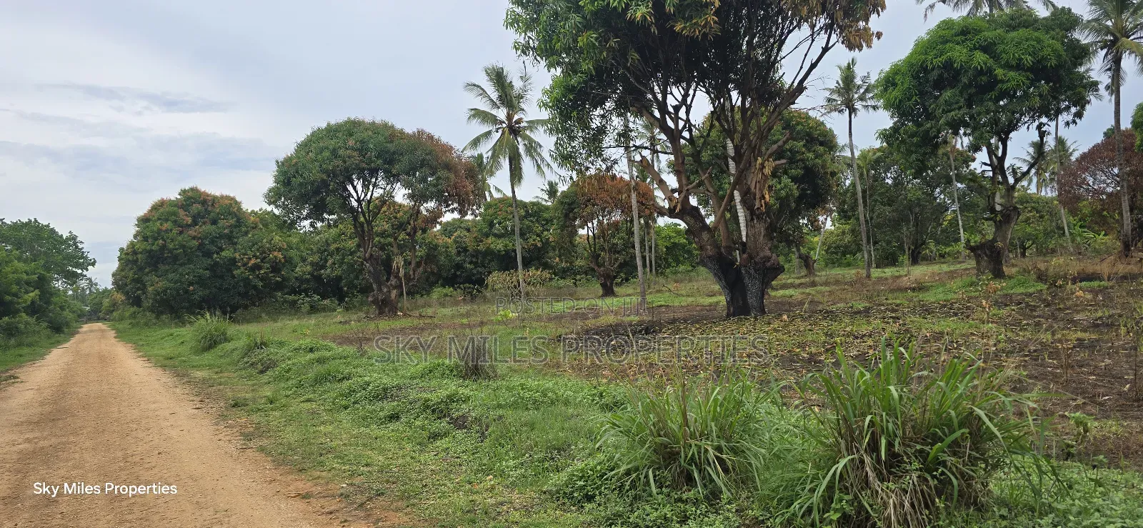 Prime 6-Acre Land for Sale - Kikambala in Kikambala