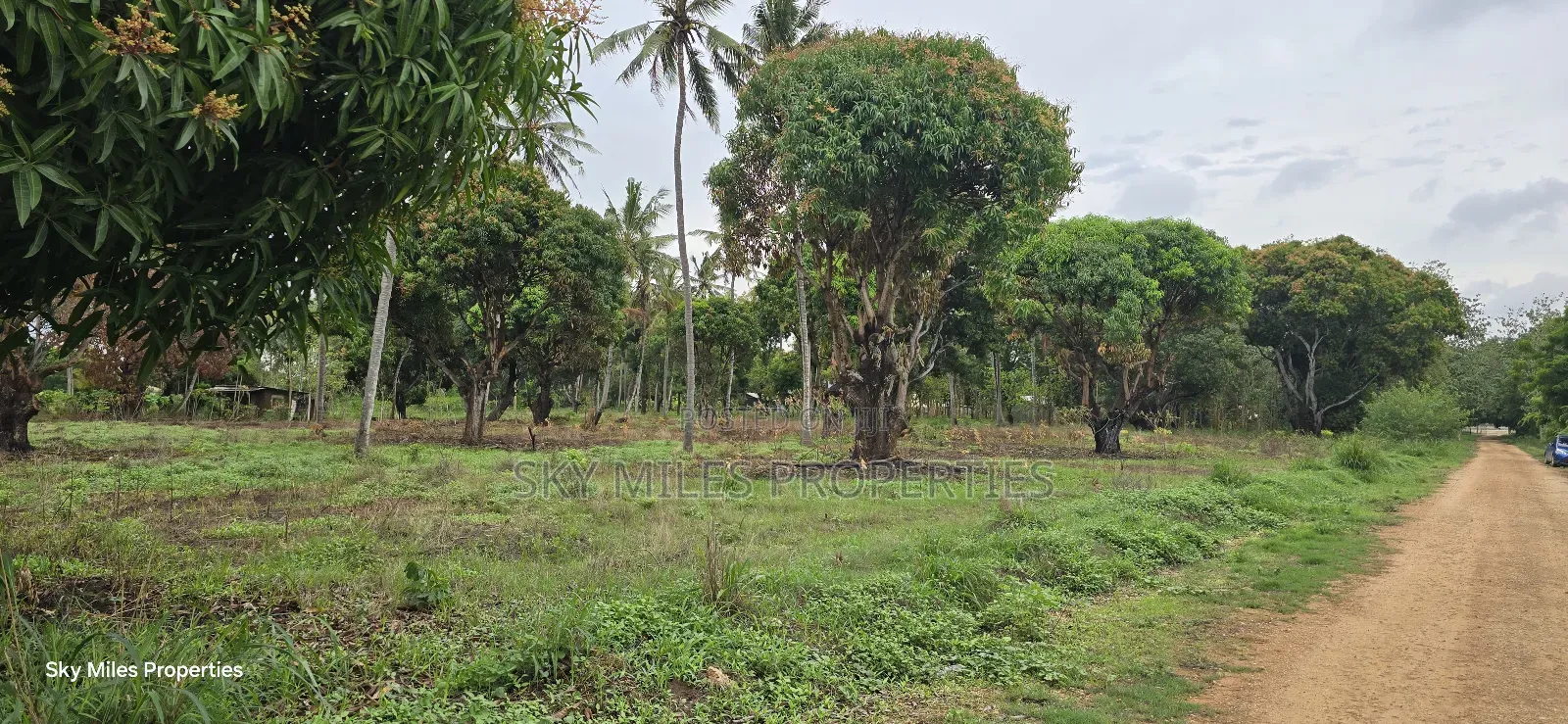 Prime 6-Acre Land for Sale - Kikambala in Kikambala