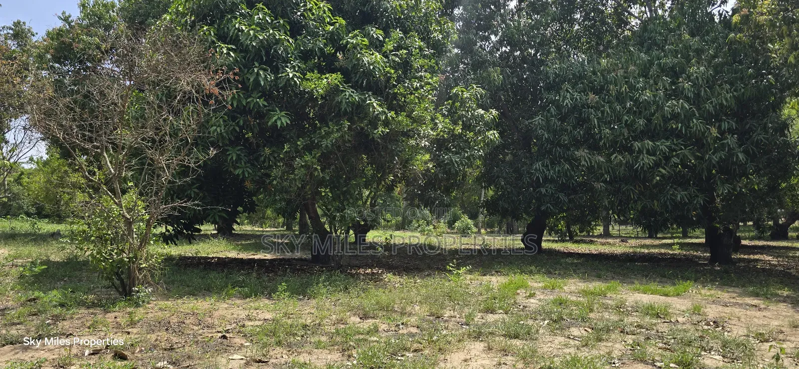 Prime 6-Acre Land for Sale in Mtwapa - Near Creek Beach in Kikambala