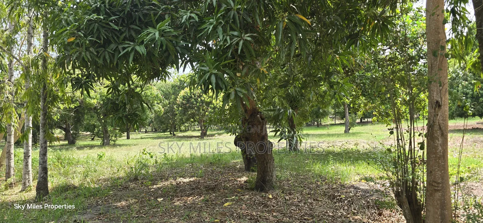 Prime 6-Acre Land for Sale in Mtwapa - Near Creek Beach in Kikambala
