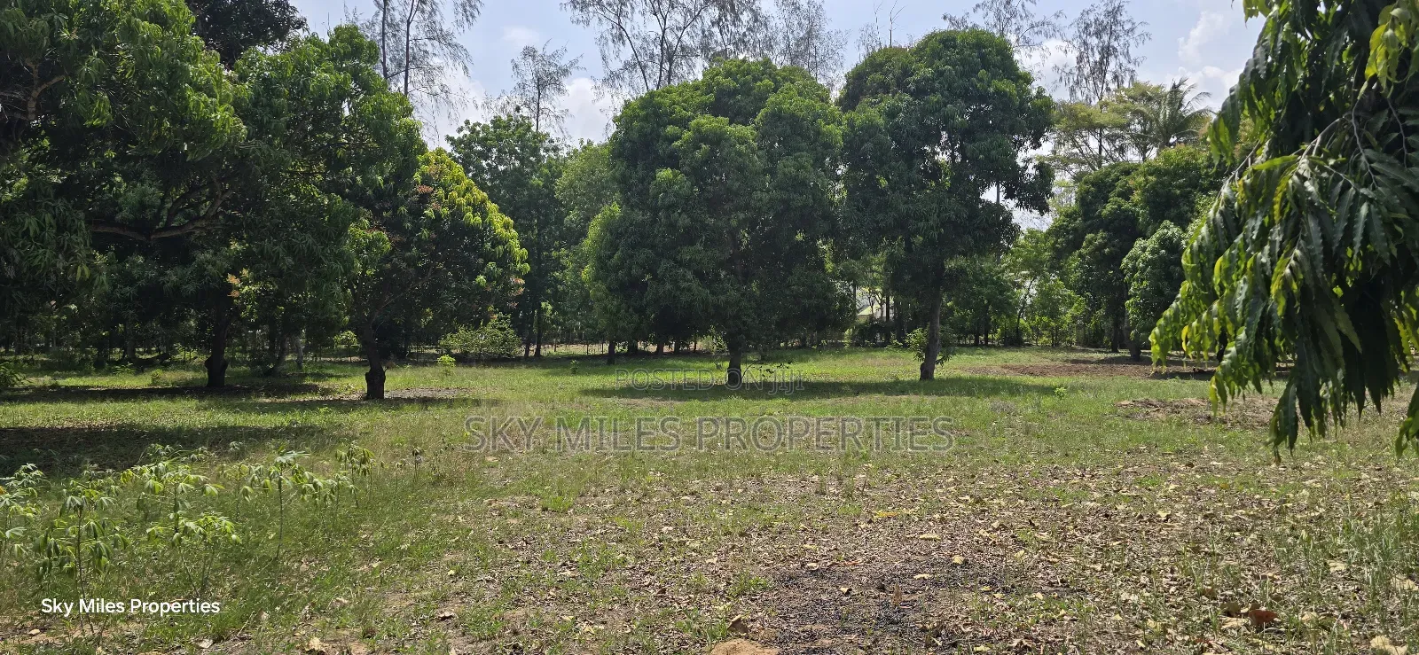 Prime 6-Acre Land for Sale in Mtwapa - Near Creek Beach in Kikambala