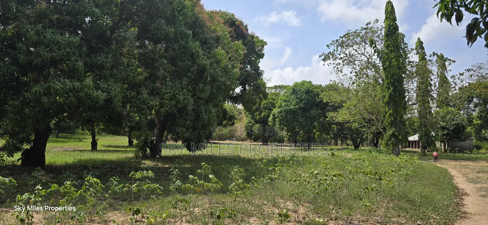 Prime 6-Acre Land for Sale in Mtwapa - Near Creek Beach in Kikambala