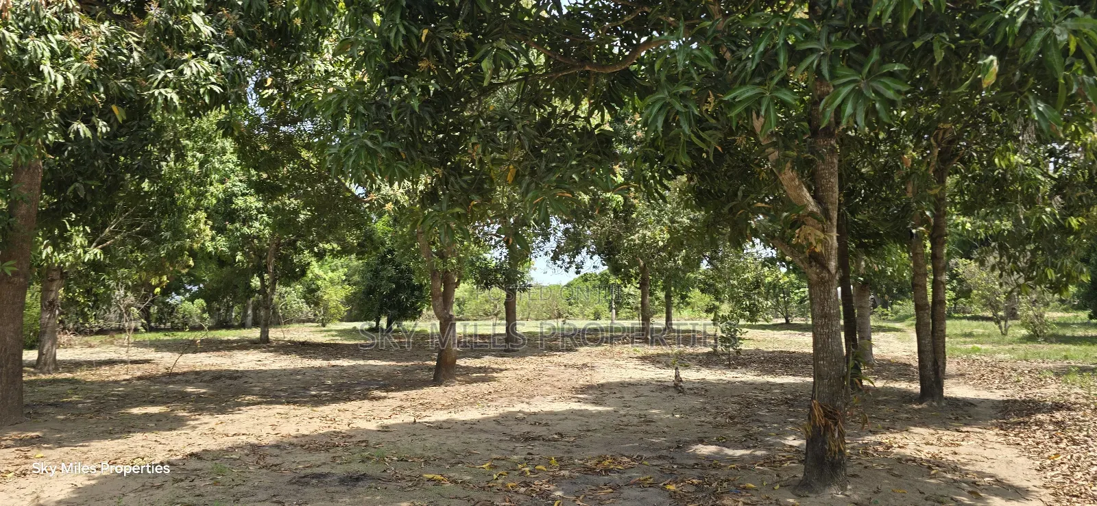 Prime 6-Acre Land for Sale in Mtwapa - Near Creek Beach in Kikambala