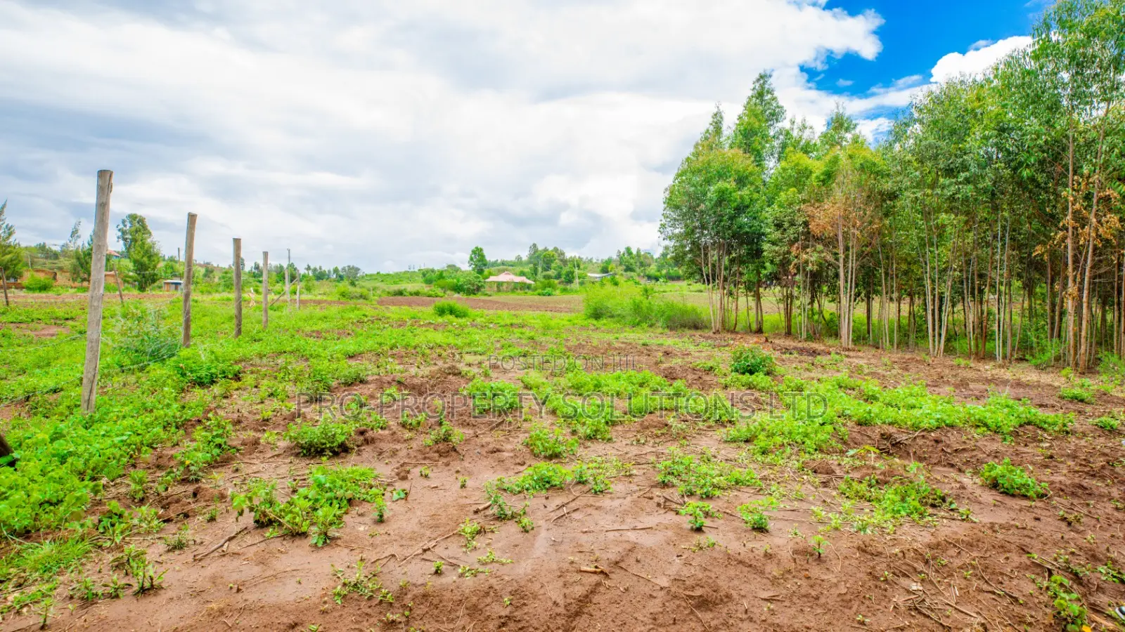 Prime Residential Plots for Sale in Kikuyu, Kamangu (Ndiguini Area) in Kikuyu