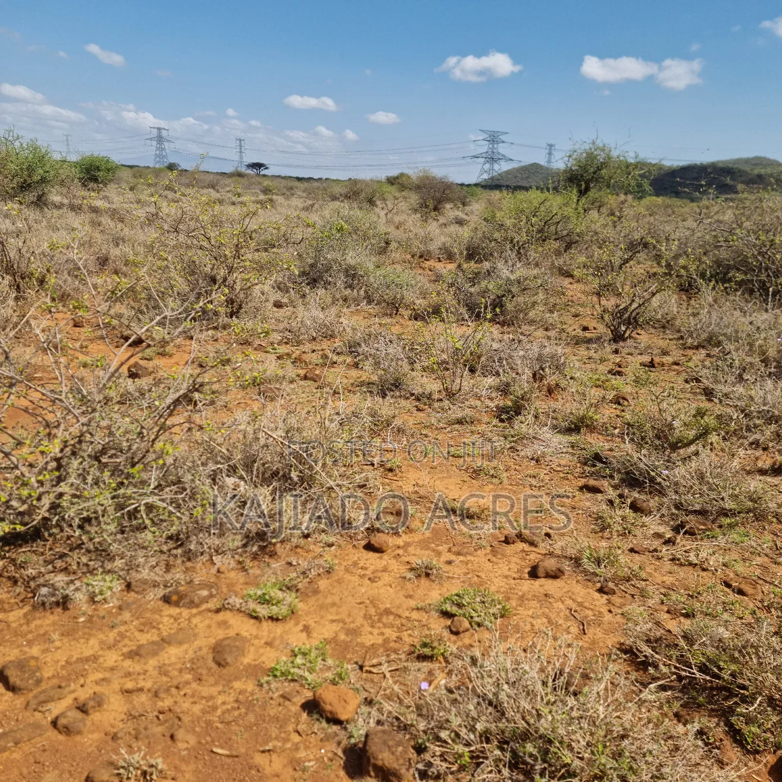 1 Acre 200 Metres Off Ngong Suswa  in Ewuaso Oonkidong'I