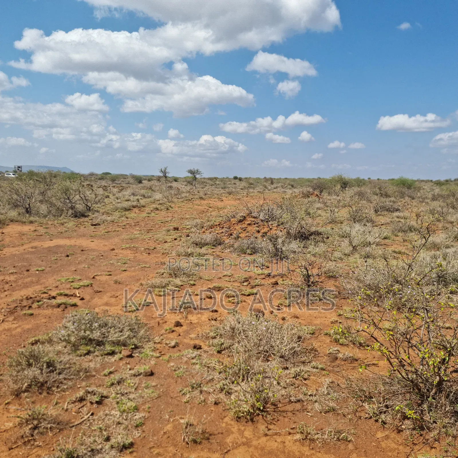 1 Acre 200 Metres Off Ngong Suswa  in Ewuaso Oonkidong'I
