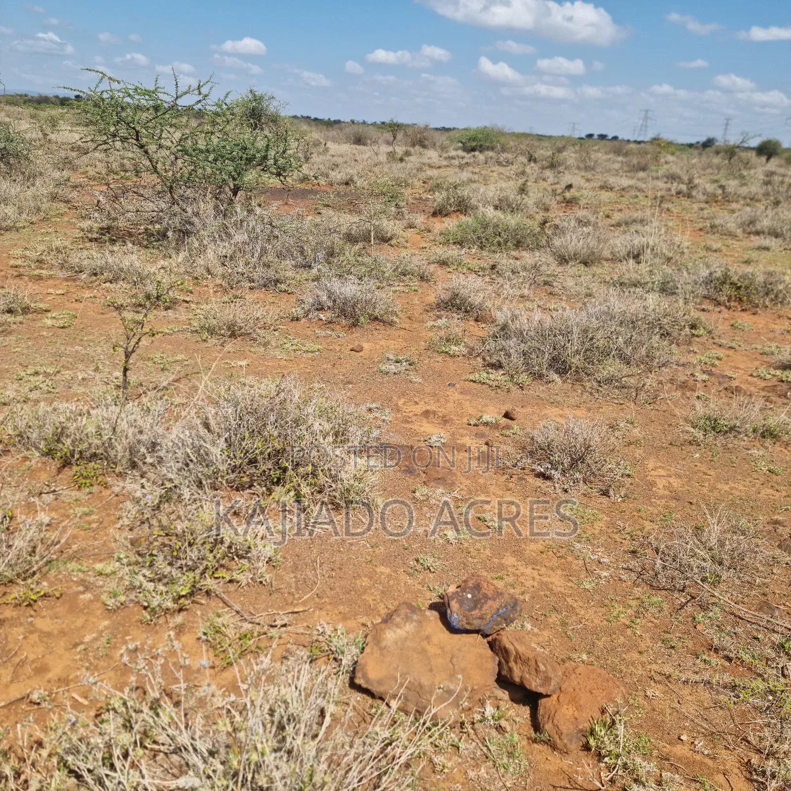 1 Acre 200 Metres Off Ngong Suswa  in Ewuaso Oonkidong'I