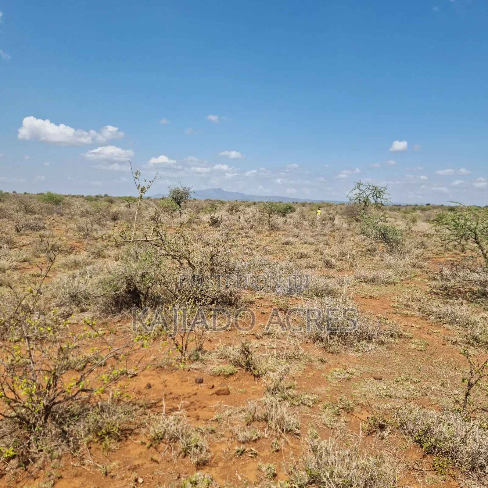 1 Acre 200 Metres Off Ngong Suswa  in Ewuaso Oonkidong'I