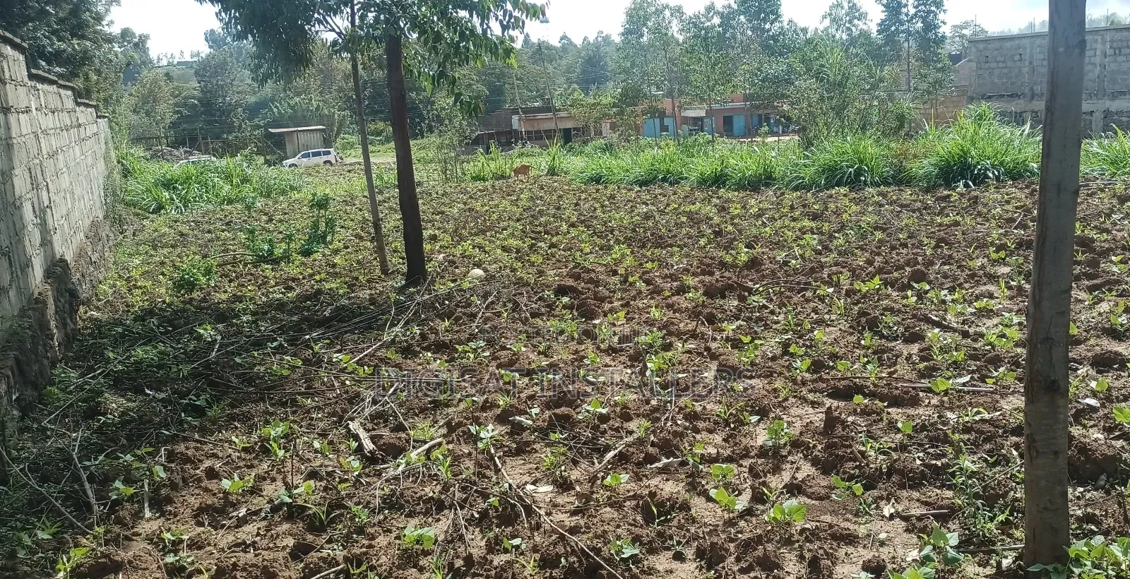 100*100 Plot for Sale in Lussigetti, Kikuyu in Nachu